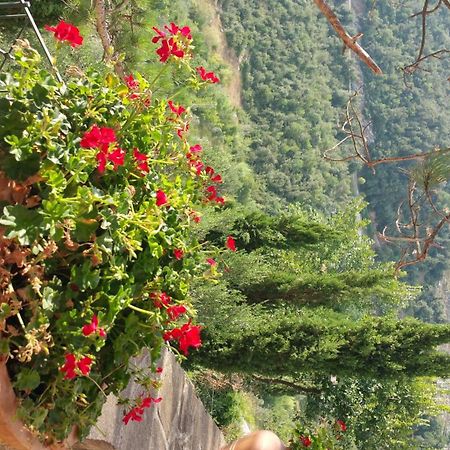 La Codarda Country House Pescosolido Ngoại thất bức ảnh
