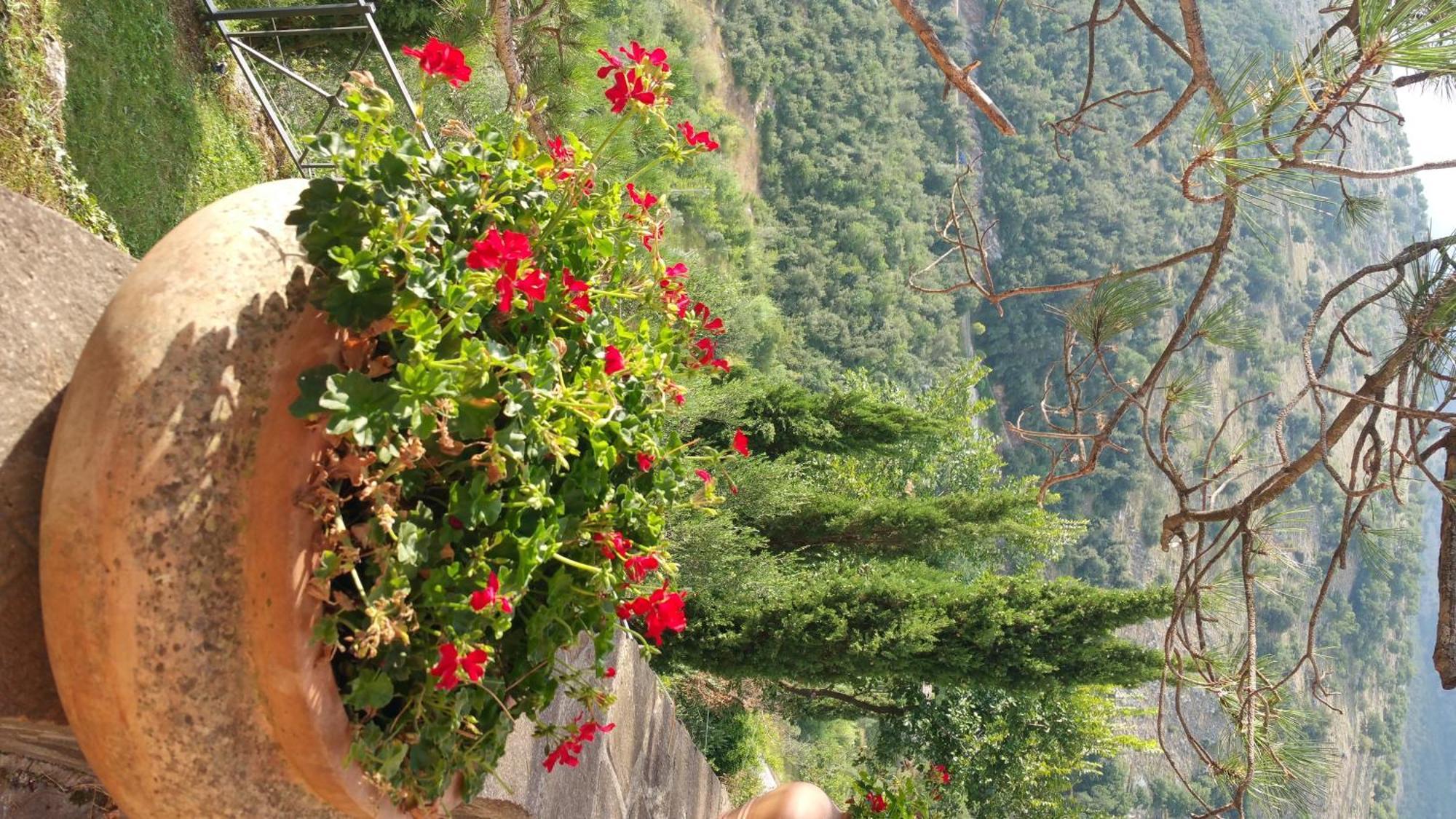 La Codarda Country House Pescosolido Ngoại thất bức ảnh